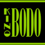 logo bodo