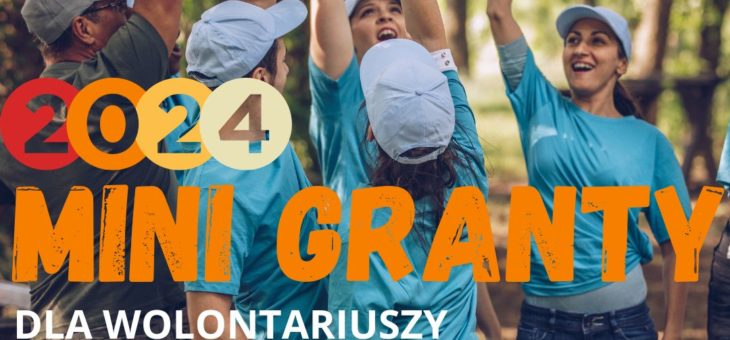 MINI GRANTY DLA WOLONTARIUSZY [WOW 2024]
